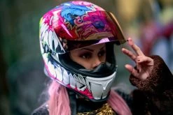 ICON Airframe Pro™ Beastie Bunny Helmet -Motorcycle Equipment Shop airframe pro beastie bunny helmet 10 27008.1688159267